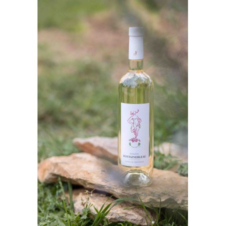 Domaine Fontainebleau Blanc 2024
