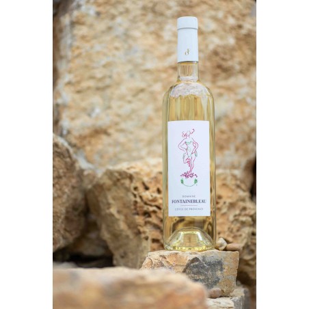 Domaine Fontainebleau Blanc 2024