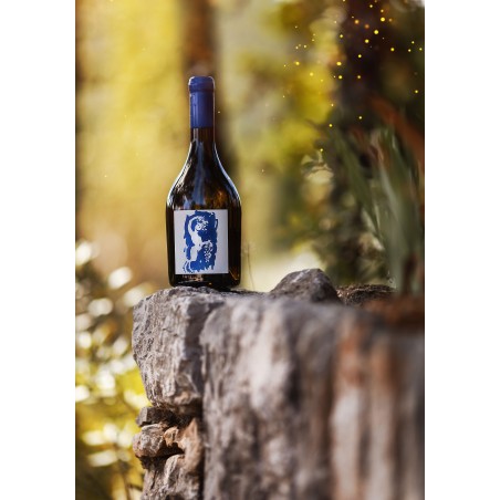 Sur le Chenin de Fontainebleau 2024